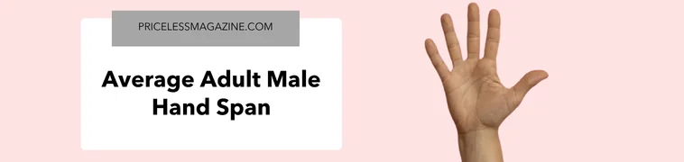 Average adult male hand span