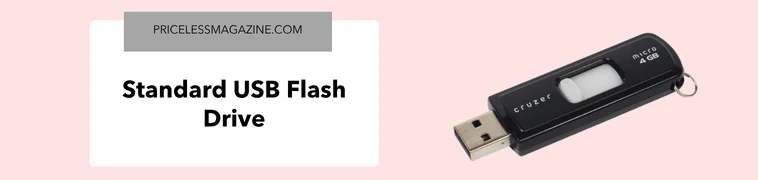 Standard USB flash drive