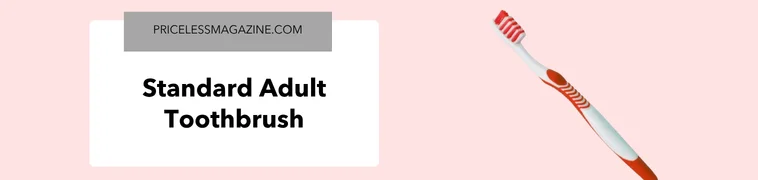 Standard adult toothbrush