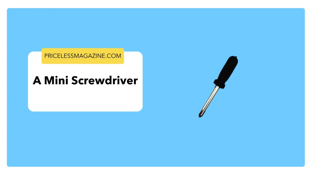 A Mini Screwdriver-Things That Are 3 Inches Long