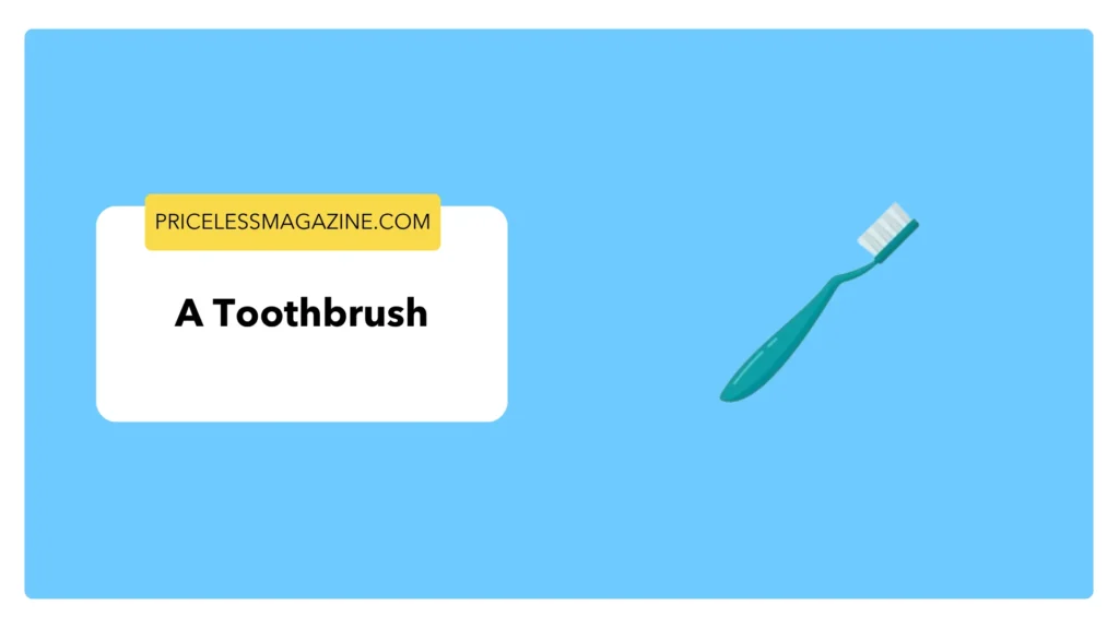 A Toothbrush - 8 Common Things That Are 6 Inches Long