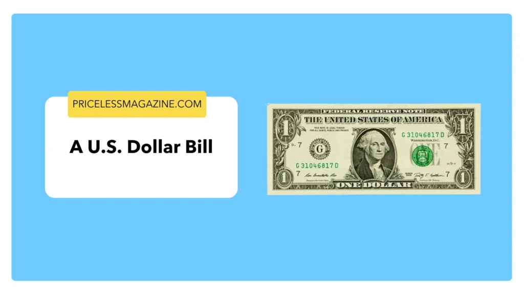 A U.S. Dollar Bill- 8 Common Things That Are 6 Inches Long