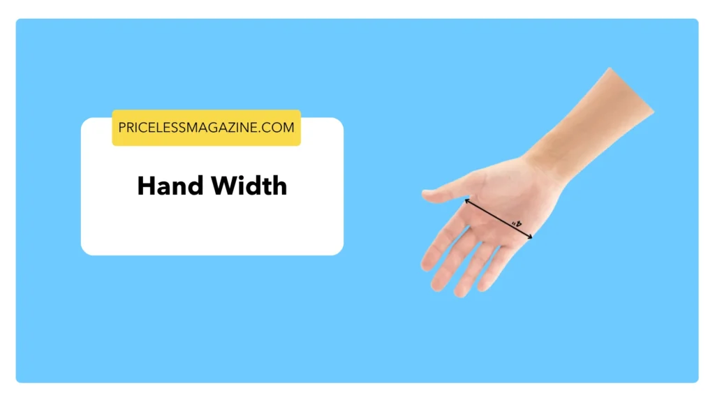 Hand Width-12 Common Things That Are 4 Inches Long
