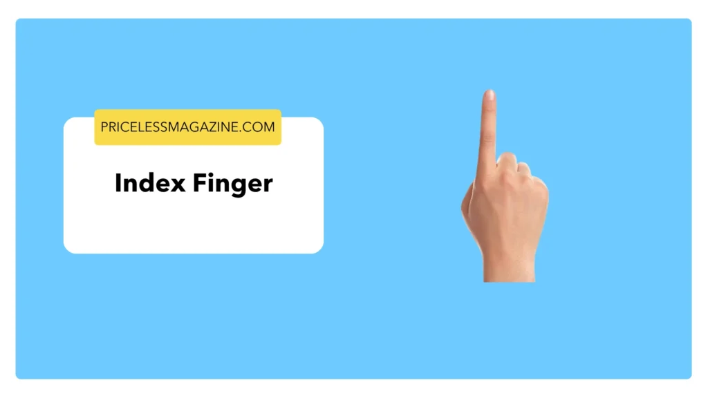 Index Finger-Things That Are 3 Inches Long
