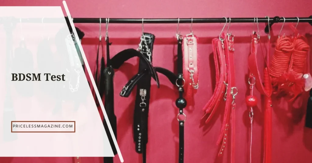 BDSM Test