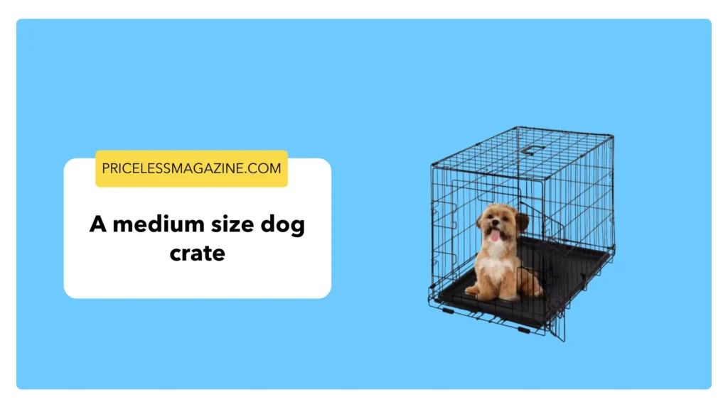  A Medium Size Dog Crate