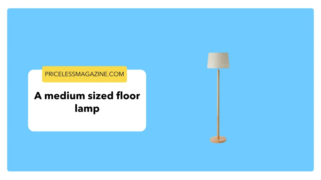 A Medium Sized Floor Lamp
