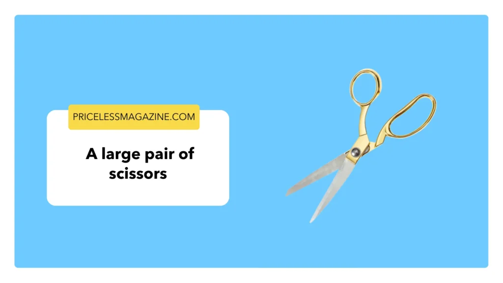 A large pair of scissors