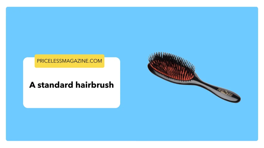 A standard hairbrush