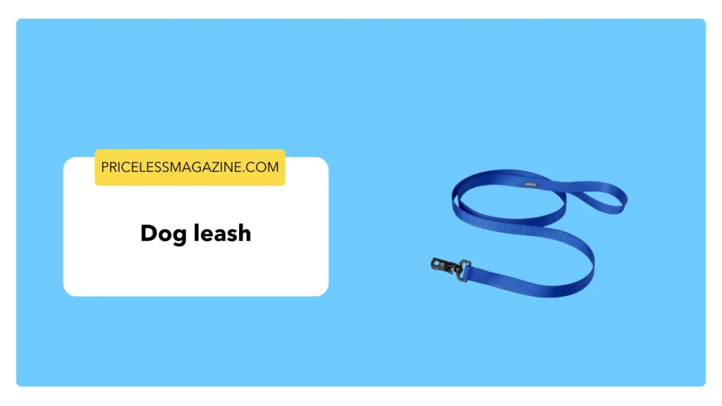 Dog leash