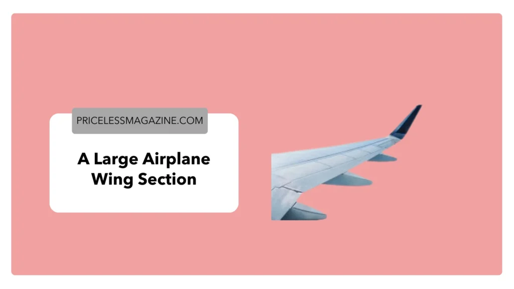 A Large Airplane Wing Section