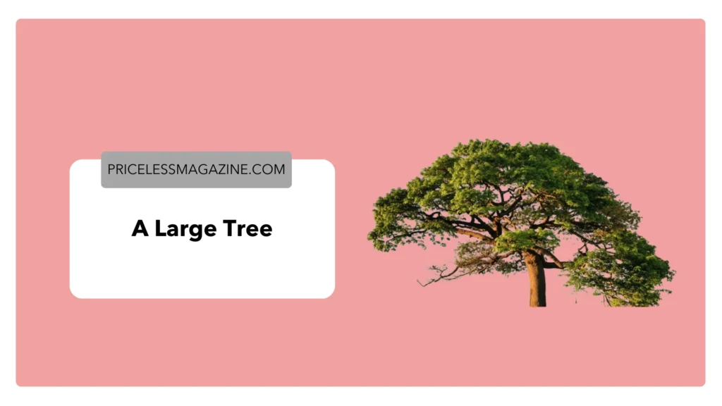 A Large Tree
