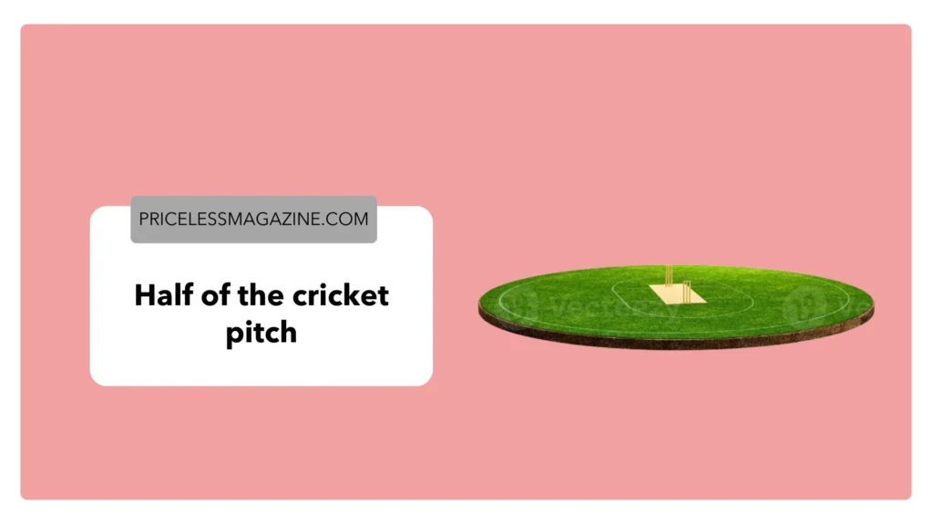 Half of the cricket pitch