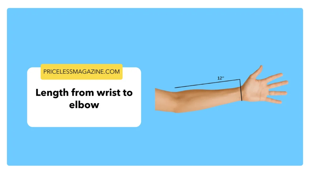Length from wrist to elbow