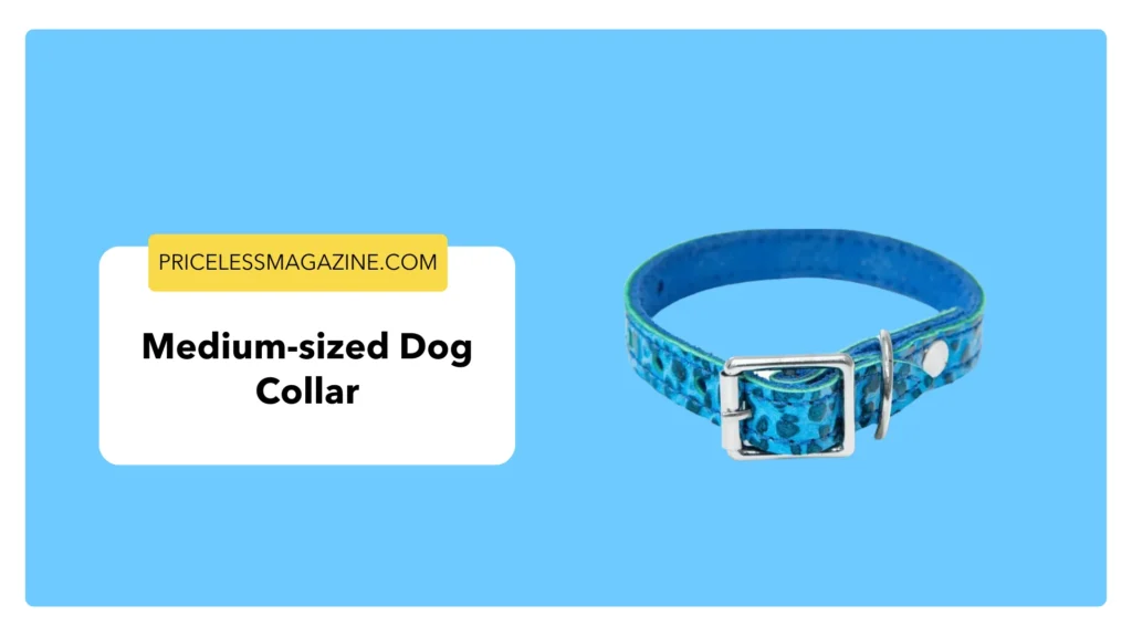 Medium-sized dog collar