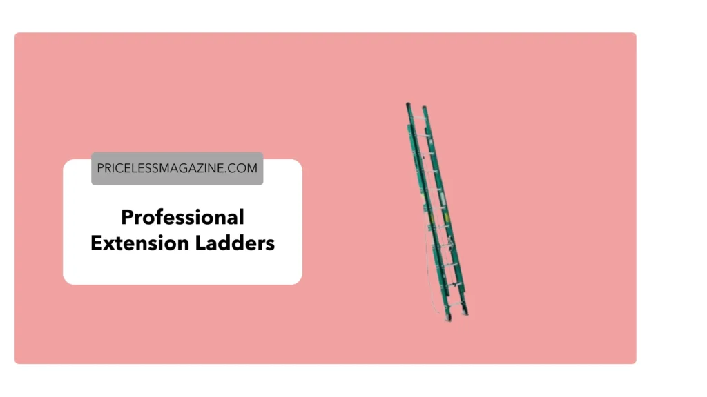 Professional Extension Ladders