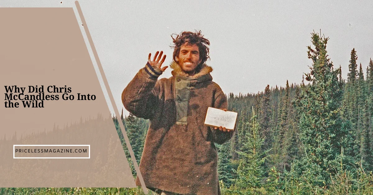 Why Did Chris McCandless Go Into the Wild