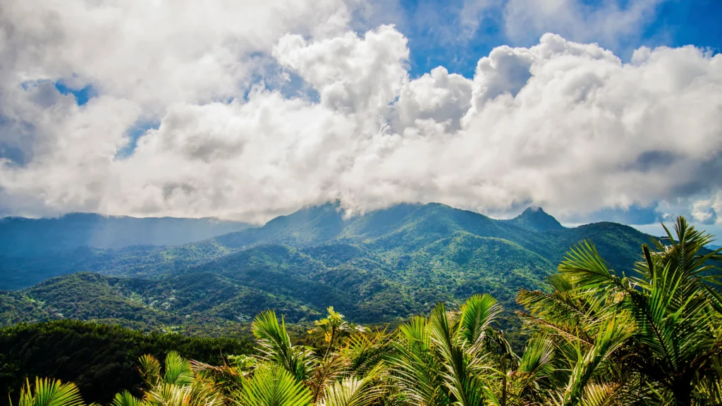 Explore El Yunque National Forest