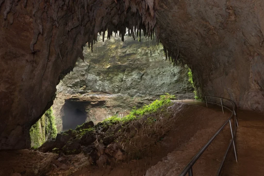 Explore Camuy River Cave Park