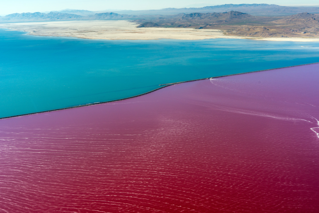 Experience the Great Salt Lake