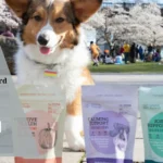 CBD Calming Chews for German Shepherd Anxiety